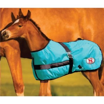 Foal Rug - Thermal Master Growing Foal